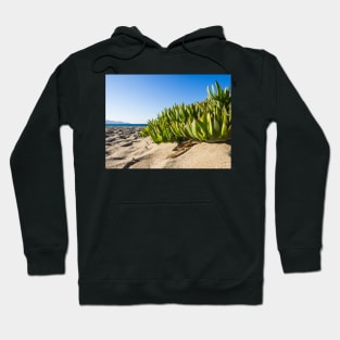 Ice Plant Hoodie